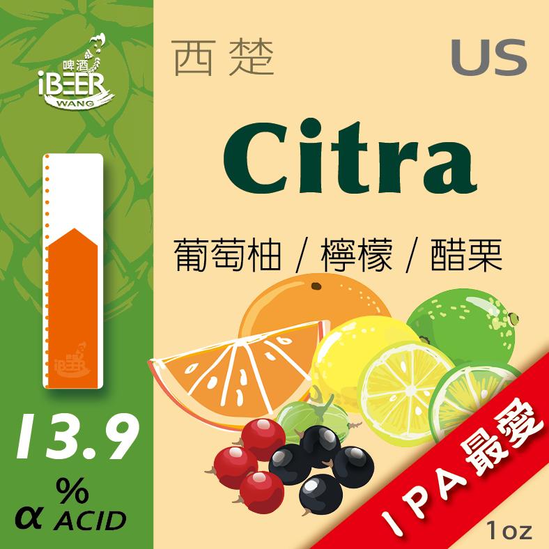 印度淡色艾爾- 西楚 Citra IPA 自釀啤酒原料器材教學 啤酒王 台北市